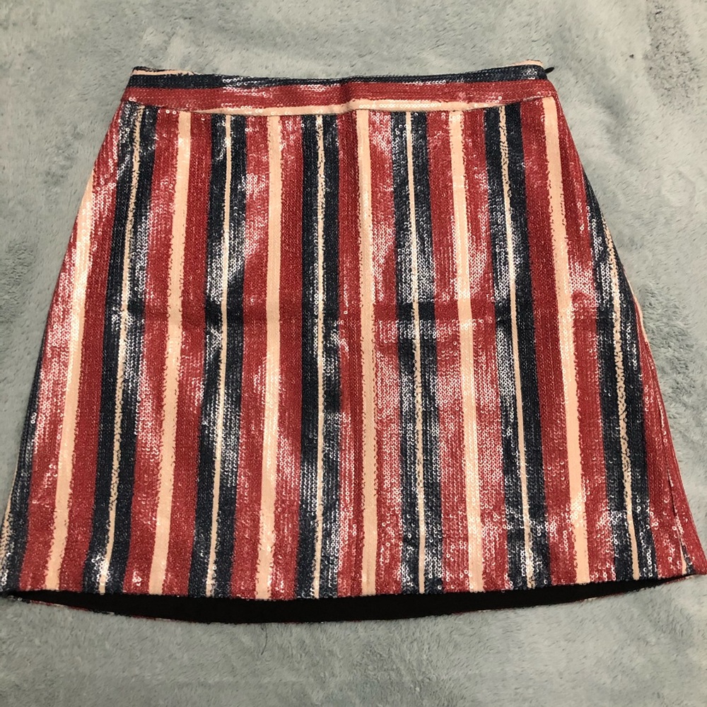 Zara Basic Stripe Mini Skirt